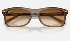 Ray-Ban RB2226 664051 - detalle