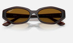 Ray-Ban RB4473D 714/83 - detalle