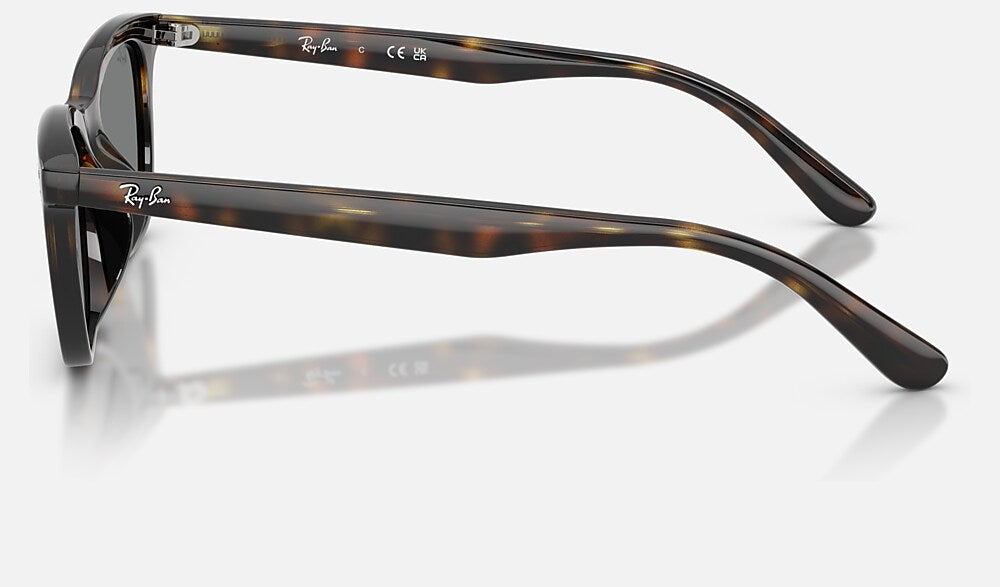Ray-Ban RB4474D 710/87 - vista lateral