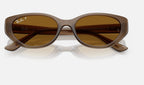 Ray-Ban RB4457D 677983 - detalle