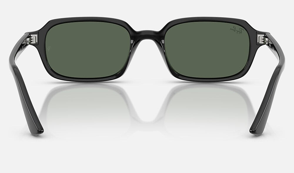 Ray-Ban RB4455 667771 - vista posterior