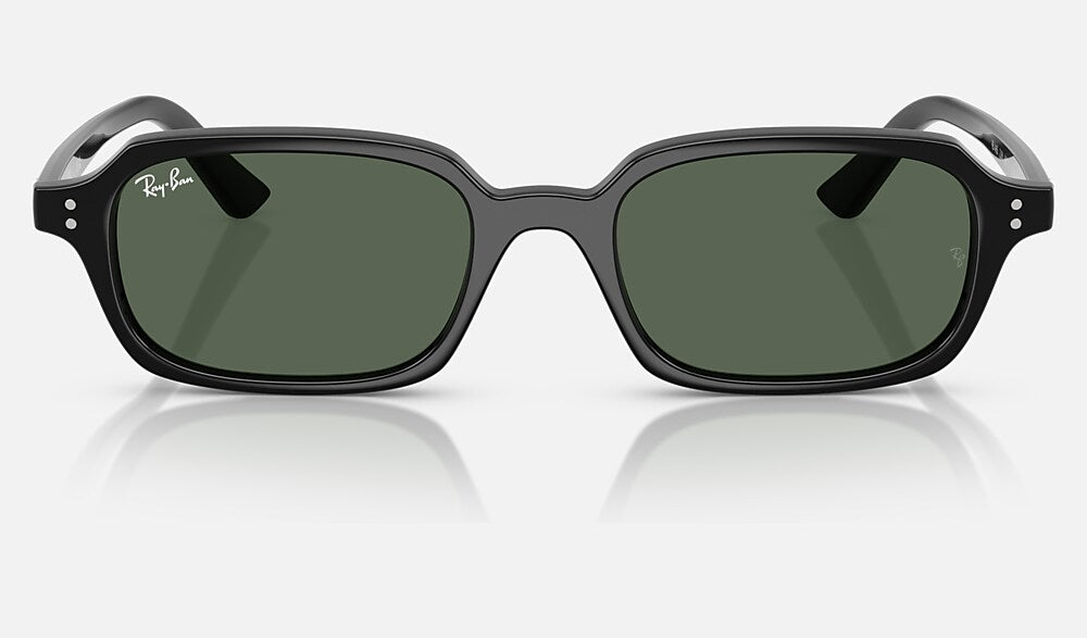 Ray-Ban RB4455 667771 - vista frontal