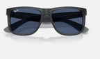 Ray-Ban RB4165 687380 - detalle
