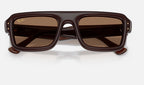 Ray-Ban RB4954 689673 - detalle