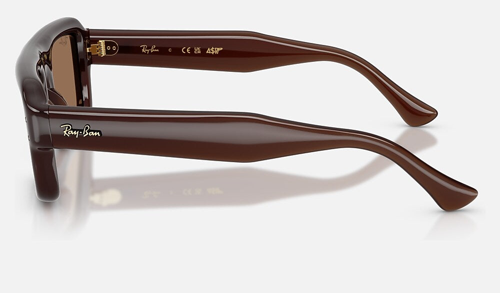 Ray-Ban RB4954 689673 - vista lateral