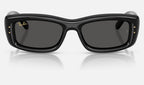 Ray-Ban RB4944 601/87 - vista frontal