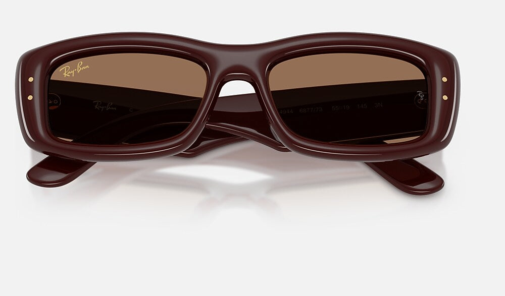 Ray-Ban RB4944 687773 - detalle