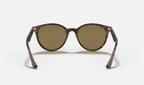 Ray-Ban RB4305 710/73 - vista posterior