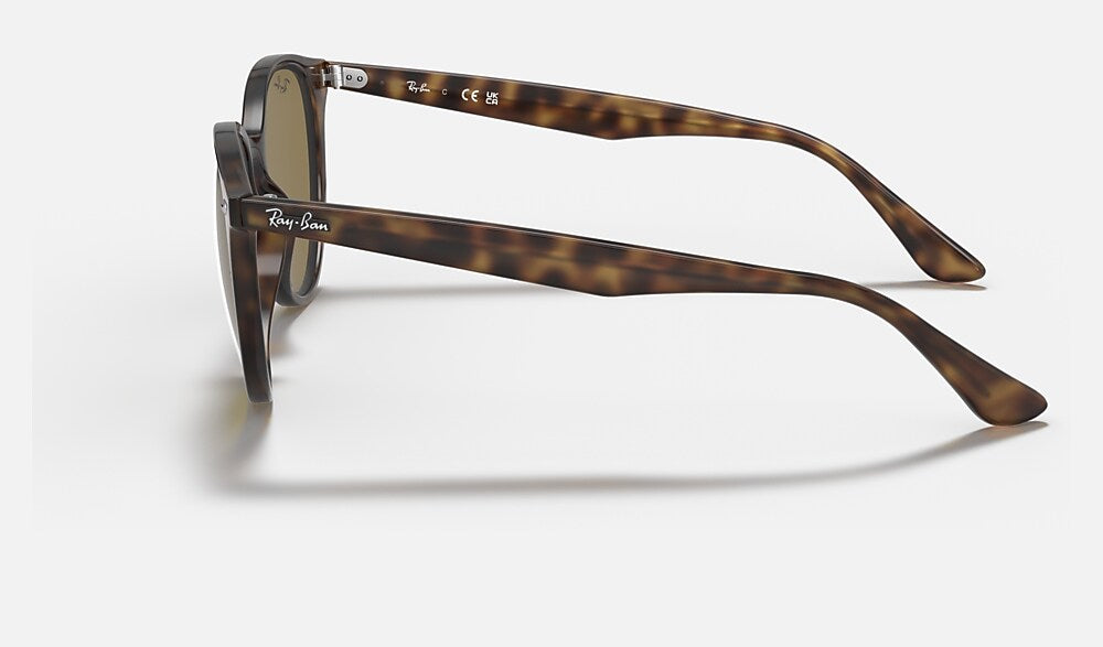 Ray-Ban RB4305 710/73 - vista lateral
