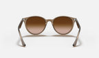 Ray-Ban RB4305 616613 - vista posterior