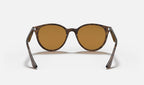 Ray-Ban RB4305 710/83 - vista posterior