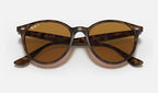 Ray-Ban RB4305 710/83 - detalle