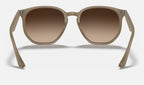 Ray-Ban RB4306 616613 - vista posterior