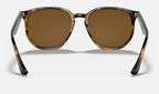 Ray-Ban RB4306 710/83 - vista posterior