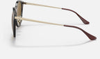Ray-Ban RB4334D 710/83 - vista lateral