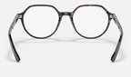 Ray-Ban 0RX5395 2012 - vista posterior
