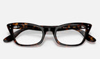 Ray-Ban 0RX5499 2012 - detalle