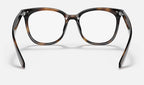 Ray-Ban 0RX4379VD 2012 - vista posterior