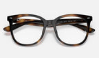 Ray-Ban 0RX4379VD 2012 - detalle
