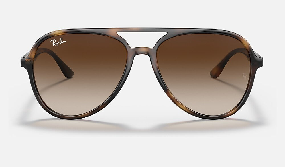Ray-Ban RB4376 710/13 - vista frontal