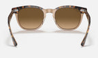 Ray-Ban RB2298 1292M2 - vista posterior