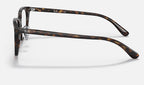 Ray-Ban 0RX5407D 2012 - vista lateral