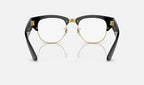 Ray-Ban 0RX0316V 2000 - vista posterior