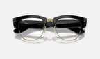 Ray-Ban 0RX0316V 2000 - detalle