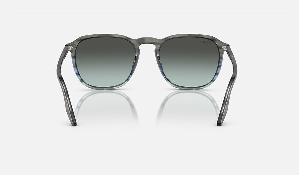 Ray-Ban RB2203 1391GK - vista posterior