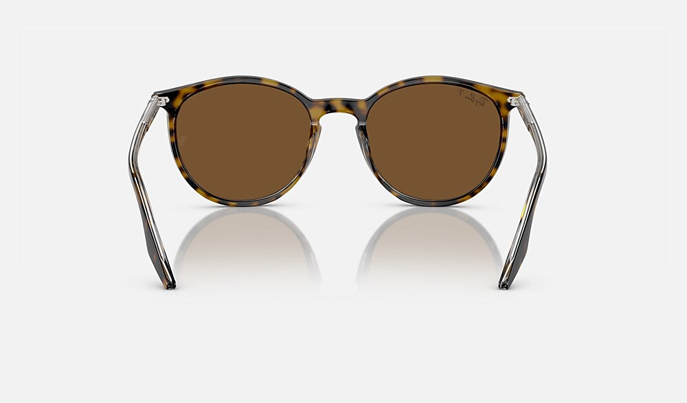 Ray-Ban RB2204 139357 - vista posterior