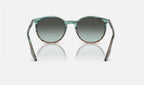 Ray-Ban RB2204 1394GK - vista posterior