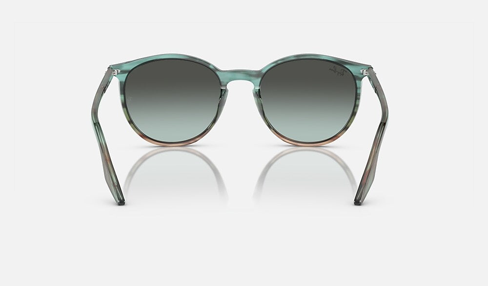 Ray-Ban RB2204 1394GK - vista posterior