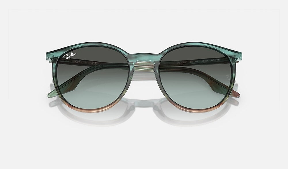 Ray-Ban RB2204 1394GK - detalle