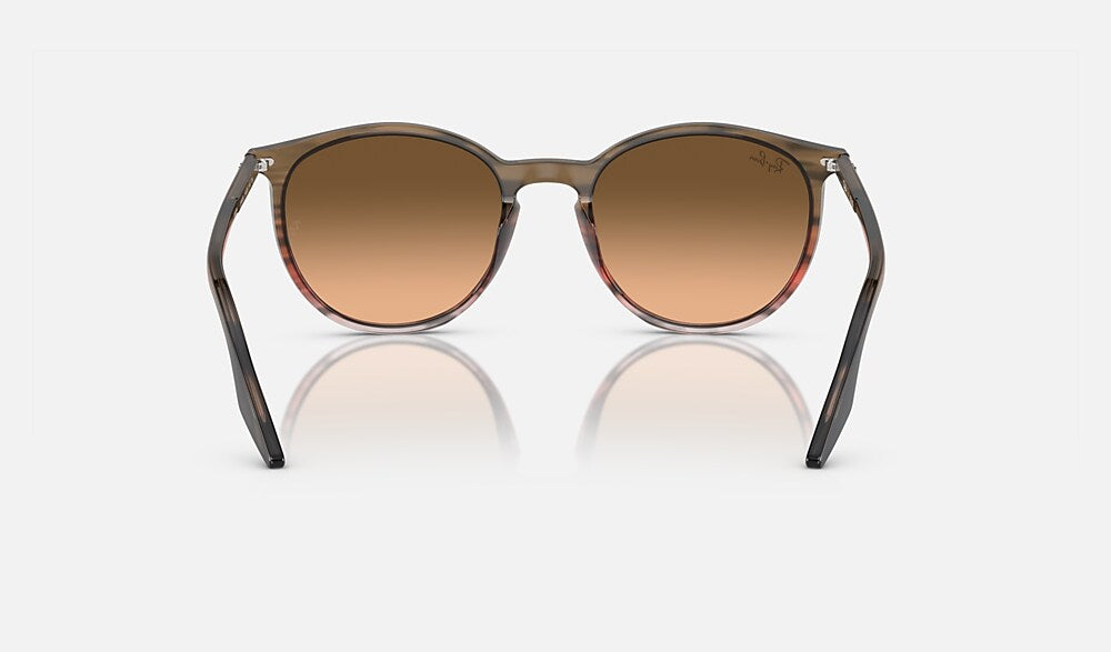 Ray-Ban RB2204 13953B - vista posterior