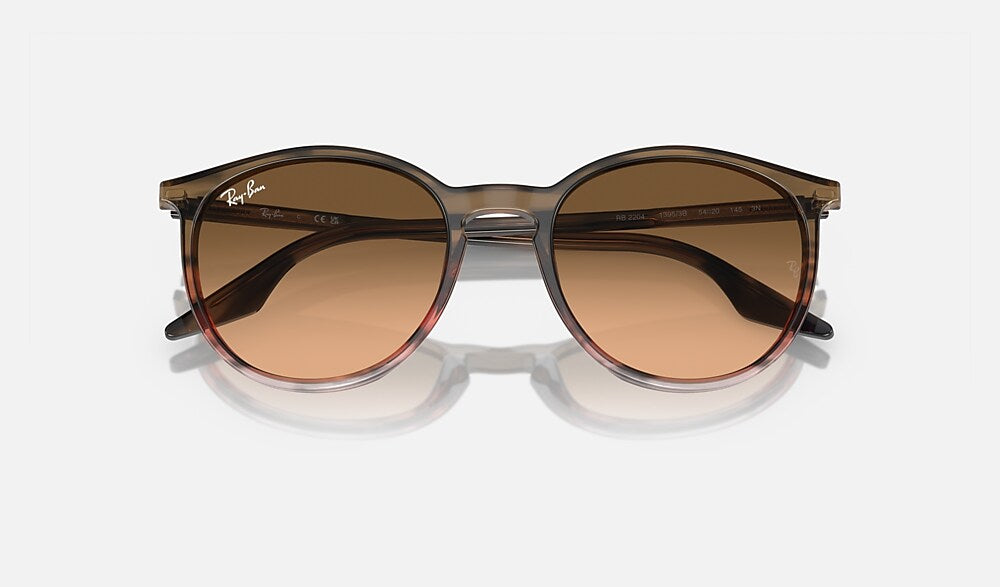 Ray-Ban RB2204 13953B - detalle
