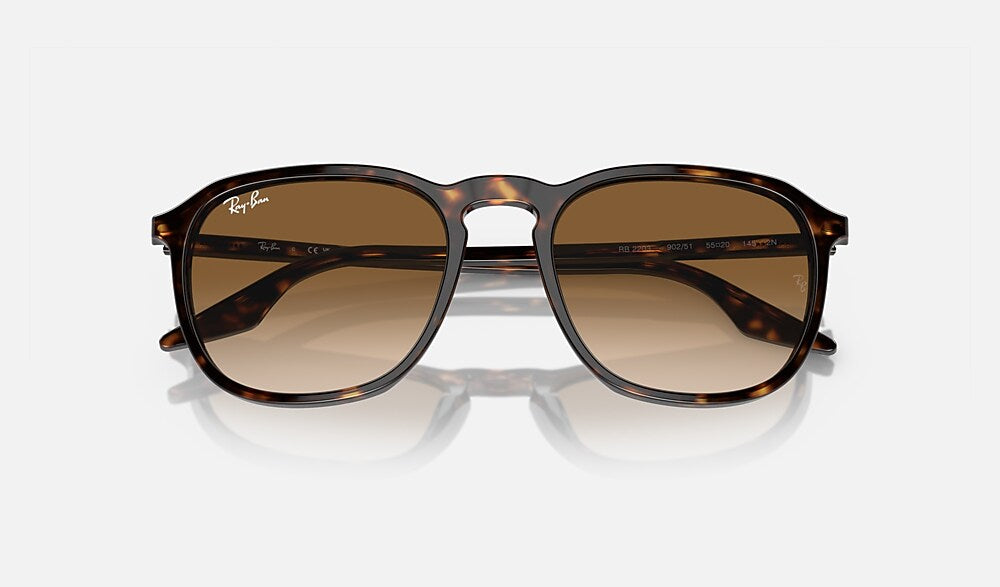 Ray-Ban RB2203 902/51 - detalle