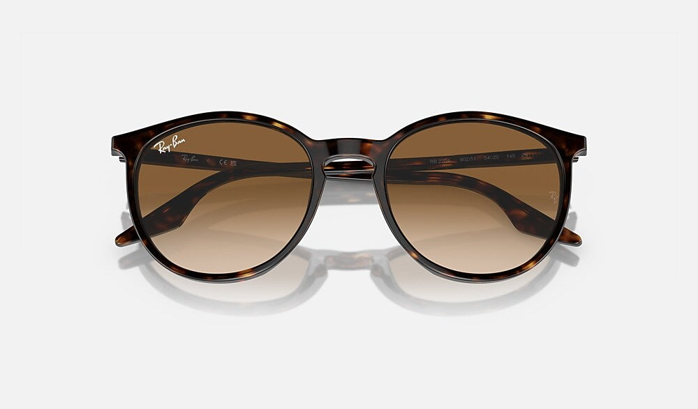 Ray-Ban RB2204 902/51 - detalle