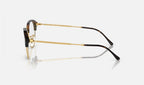 Ray-Ban 0RX7229 2012 - vista lateral