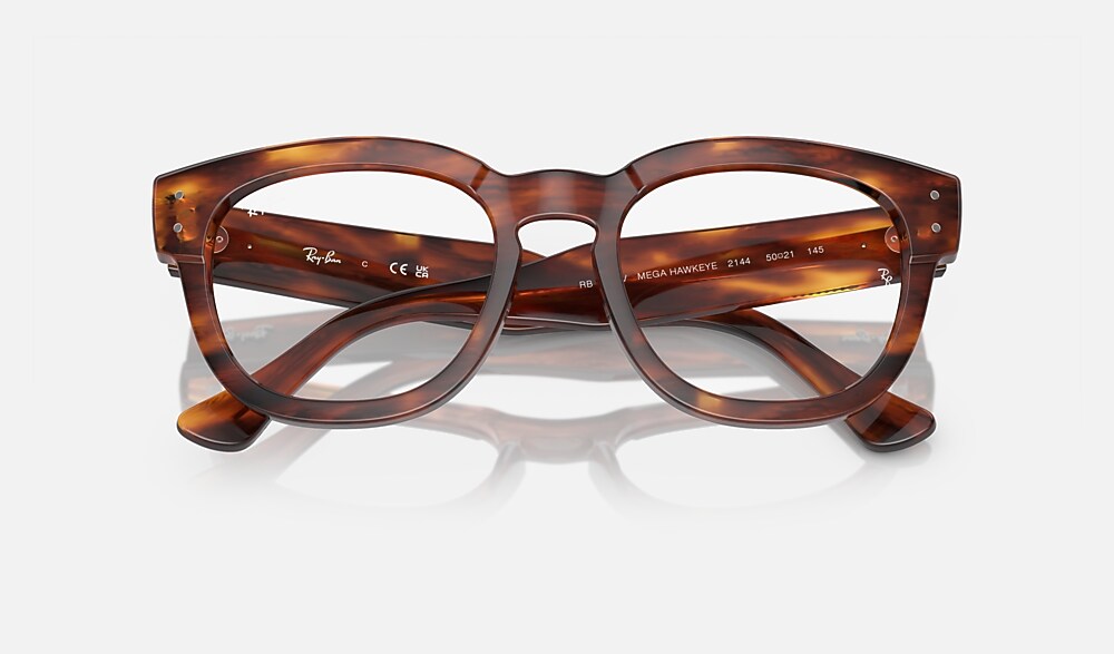 Ray-Ban 0RX0298V 2144 - detalle