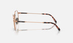 Ray-Ban 0RX8794 1245 - vista lateral