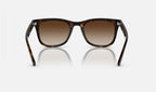 Ray-Ban RB4420 710/13 - vista posterior