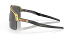 oo946347_2-1.png