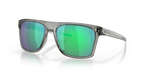 oo910010_1-1.png