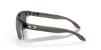 oo9102o2_2-1.png