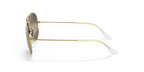 rb30259196g3_2.png