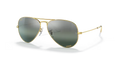 rb30269196g6_1.png