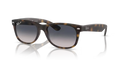 rb213286578_1.png