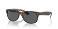 rb2132865b1_1.png