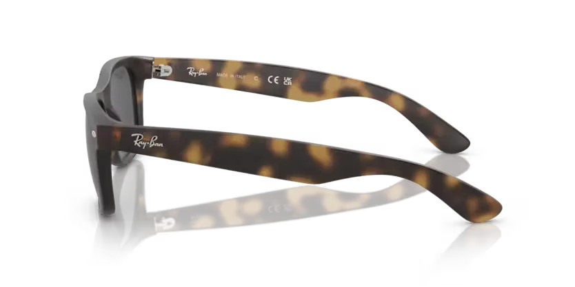 rb2132865b1_2.png