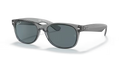 rb213264503r_1.png